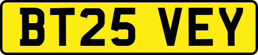 BT25VEY