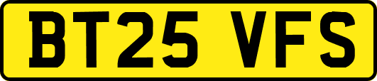 BT25VFS
