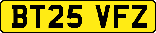 BT25VFZ