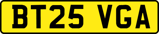 BT25VGA