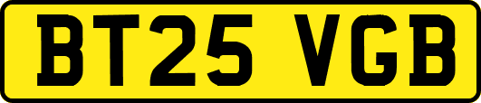 BT25VGB