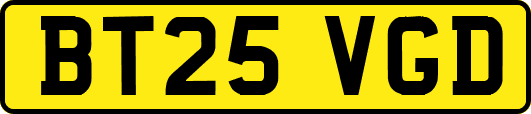 BT25VGD