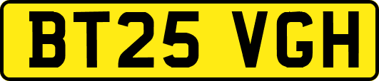 BT25VGH
