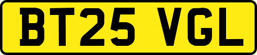 BT25VGL