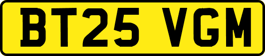 BT25VGM