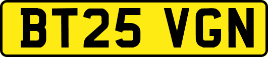 BT25VGN