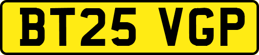 BT25VGP