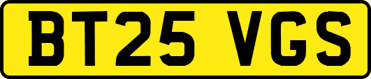 BT25VGS
