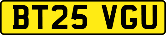 BT25VGU