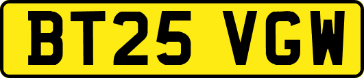 BT25VGW