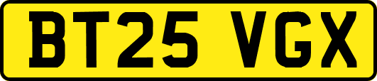 BT25VGX