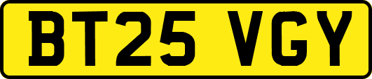 BT25VGY
