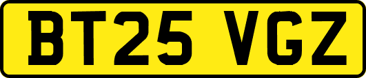 BT25VGZ
