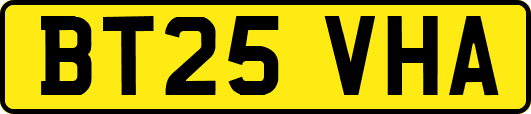 BT25VHA