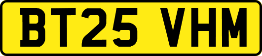 BT25VHM