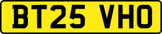BT25VHO