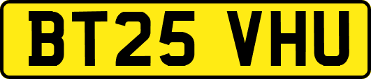 BT25VHU
