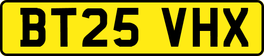 BT25VHX