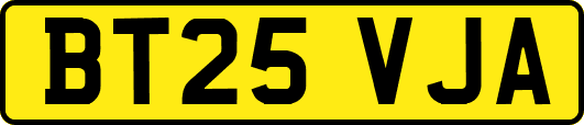BT25VJA