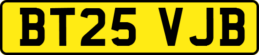 BT25VJB