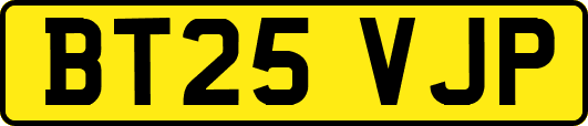 BT25VJP