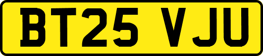 BT25VJU