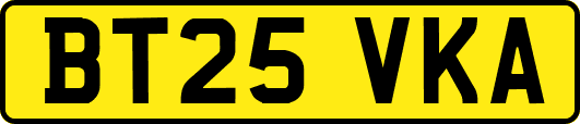 BT25VKA