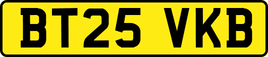 BT25VKB