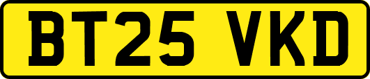 BT25VKD