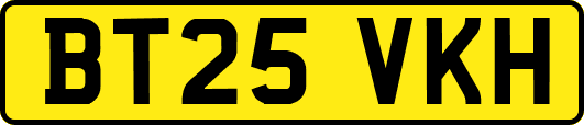 BT25VKH