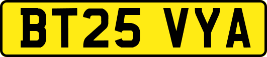 BT25VYA