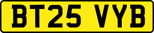 BT25VYB