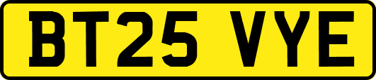 BT25VYE