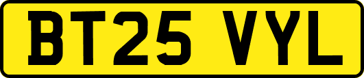 BT25VYL