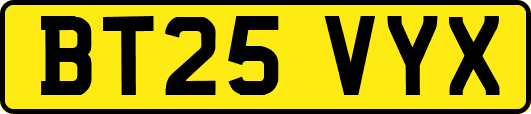 BT25VYX