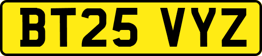 BT25VYZ