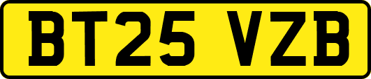 BT25VZB