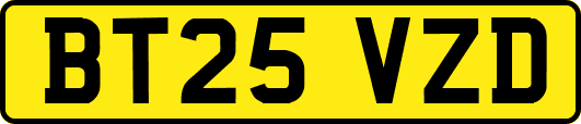 BT25VZD