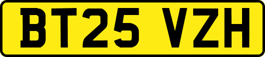BT25VZH