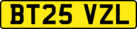 BT25VZL