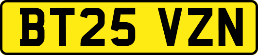 BT25VZN