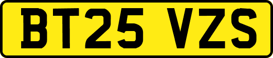 BT25VZS