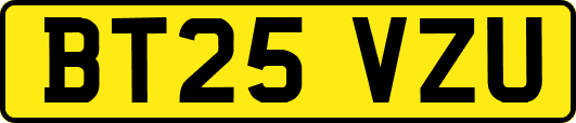BT25VZU