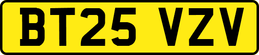 BT25VZV