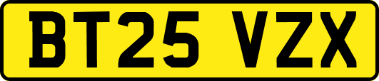 BT25VZX