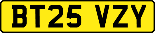 BT25VZY