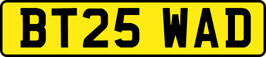 BT25WAD