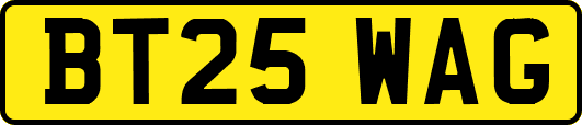 BT25WAG