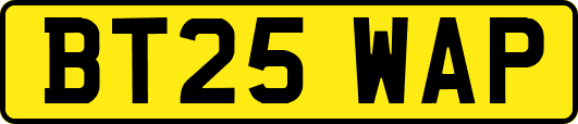 BT25WAP