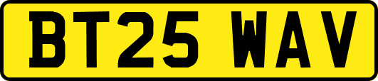 BT25WAV